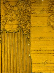 コンポジション - 質感、2024年（写真）