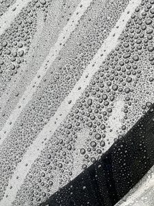 コンポジション - 質感、2024年（写真） 作： Cécile Jamet