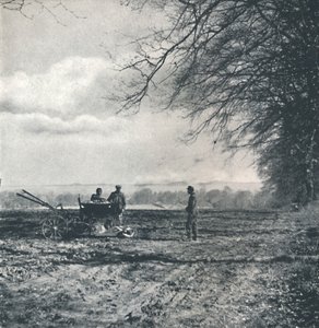 遠くの畑と溝、1941