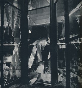 自然史博物館での事例を展示する、1941