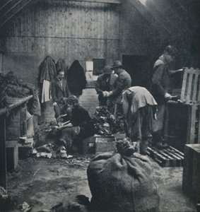 市場向け野菜、1941 作： Cecil Beaton