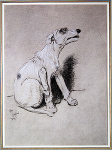 5:15 awakened by a bad attack of Eczema」、ウォルター・エマニュエル著「A Dog Day」のイラスト 作： Cecil Charles Windsor Aldin