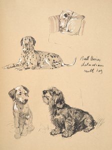 ブルテリア、ダルマティアンとマットドッグ、1930年、彼のスケッチブックのイラストは、ジャストアマンフロムフレンド、アルディン、セシルチャールズウィンザー（1870-1935）に使用されました。 作： Cecil Charles Windsor Aldin