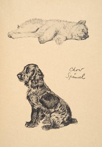 チョウとスパニエル、1930年、「友だちだけ」で使用された彼のスケッチブックのイラスト、アルディン、セシルチャールズウィンザー（1870-1935）、後にエアアンドスポットティスウッドリミテッドにより発行、1934年、チョークアンドチ 作： Cecil Charles Windsor Aldin