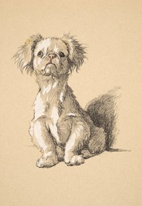 ペケ、1930年、彼のスケッチブックのイラストはジャスト・アマゾン・フレンズ、アルディン、セシル・チャールズ・ウィンザー（1870-1935）に使用され、後にエアとスポットティスウッド・リミテッド、1934年にチョークとチャコールがパプに掲載された