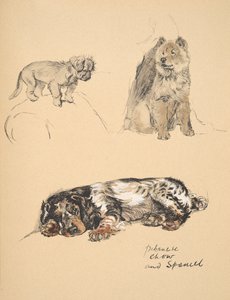 ペキニーズ、チャウとスパニエル、1930年、彼のスケッチブックのイラストはジャストアマゾンフレンド、アルディン、セシルチャールズウィンザー（1870-1935）に使用され、後にエアアンドスポットティスウッドリミテッド、1934年、チャルから出版 作： Cecil Charles Windsor Aldin