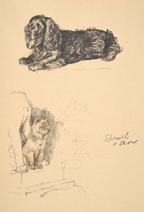 Spaniel and Chow、1930年、彼のスケッチブックのイラストはJust Among Friends、Aldin、Cecil Charles Windsor（1870-1935）で使用され、後にEyre and Spottiswoode Limited、1934、Chalk and Charにより発行 作： Cecil Charles Windsor Aldin