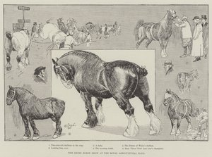 王立農業ホールでのシャイアホースショー 作： Cecil Charles Windsor Aldin