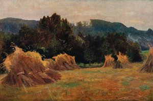 メイフォッドの谷、1873 作： Cecil Gordon Lawson