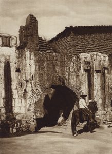 メキシコ: オアハカ、テベリア エスパニョーラ (白黒写真) 作： Cecile Seler Sachs