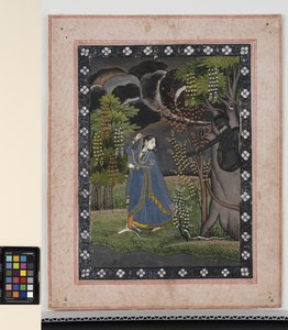 アビサリカ・ナイカ 1820年頃 不透明な顔料と金、紙 作： Central Indian School