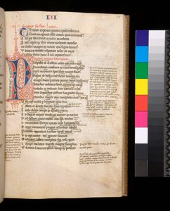 325号室ルーカン『Bellum Civile』その他の作品、f.35r.赤と青の分割された頭文字[P]と対照的なペンの装飾、1353年頃（羊皮紙