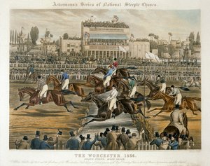 1856年3月14日、ウスターで開催されたロイヤル・バースデー・ステークス：グランドスタンド（カラーリトグラフ 作： Charles Hunt