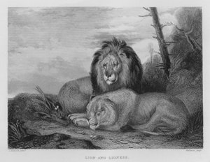 ライオンとライオネス（彫刻 作： Charles (after) Hancock