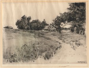 ケープアンファーム、1890年。 作： Charles Adams Platt