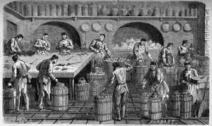1864年、チュイルリー宮殿の厨房の氷河。ムーランの図面からF.リクスとバルバンが描いたもの。 作： Charles Barbant