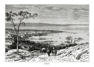 トリエステ、イタリア、1879 作： Charles Barbant