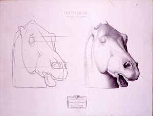 パルテノン神殿の西ペディメントから出た馬の頭、1898年頃のクールデドゥサンのプレート47