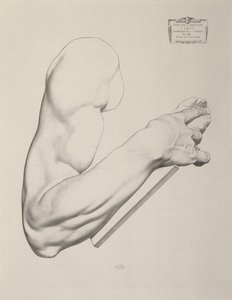 灰色の紙の印象、1868 作： Charles Bargue
