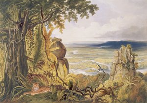 ジョージバーナード（fl.1832-90）pubによって彫刻された「ギアナの内部の景色」からの、エセキボ川沿いのコミューティまたはタキアレロック。アッカーマン、1840