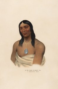  作： Charles Bird King