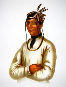 チペワ族のCaatousee（カラーリトグラフ） 作： Charles Bird King