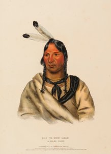 エシュ・タ・フム・リーSIOUX CHIEF（『北米インディアン部族史』より