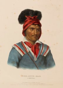 フォケ・ラスト・ハジョ北アメリカ・インディアン部族史』より「A SEMINOLE. 作： Charles Bird King
