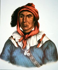 Julcee Mathla 作： Charles Bird King