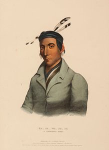 カ・タ・ワ・ベ・ダ北米インディアン部族史』より「A CHIPPEWAY CHIEF.
