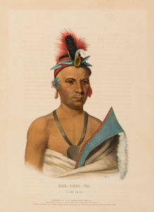 KEE-SHES-WA, A FOX CHIEF（『北米インディアン部族史』より 作： チャールズバードキング