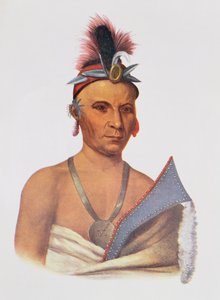 Keesheswaまたは「太陽」、キツネの首長、1837年頃、「北アメリカのインディアン部族、第2巻」のイラスト。ジョン・グラント