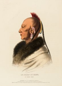LE SOLDAT DU CHENE, an OSAGE CHIEF（北米インディアン部族史より 作： Charles Bird King