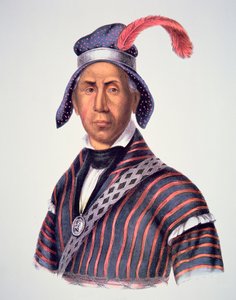マッドウルフ」1825年（カラーリトグラフ 作： Charles Bird King