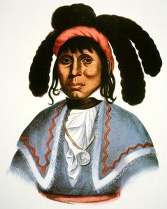 ミカノピー（1849年没） 1826年頃（カラーリトグラフ） 作： Charles Bird King
