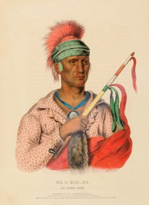 北米インディアン部族史』より「アイオウェイの族長、ネ・オ・モンネ