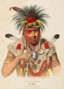 ne-sou-a-quoit.北米インディアン部族史』より「A FOX CHIEF.