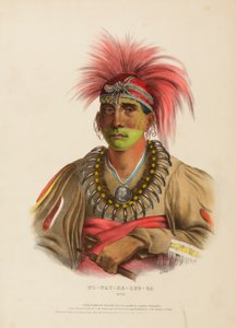 ノーウェイ-ケ-スグ-ガ北米インディアン部族史』より「OTOE. 作： Charles Bird King