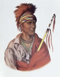 ノーチミネまたはノーハート、アイオワ州首長、1837年、イラスト「北アメリカのインディアン部族、第2巻」、THomas L.マッケニーとジェームズホール、パブ。ジョン・グラント