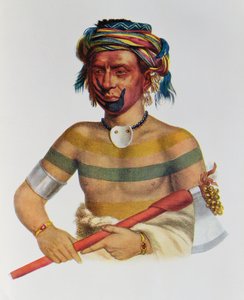 1837年のアイオワ州首相、Shau-Hau-Napo-Tiniaのイラストは、トーマスL.マッケニーとジェームズホールによる「北米インディアン部族Vol.1」のイラストです。ジョン・グラント 作： Charles Bird King