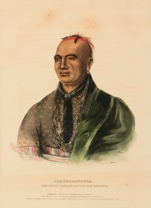テイエンダネギア北アメリカのインディアン部族の歴史より「六民族の偉大なるキャプテン 作： Charles Bird King