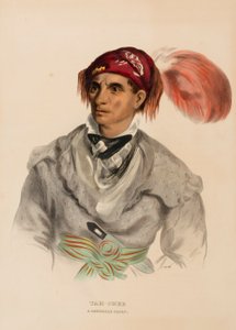 チェロキー族の酋長、ター・チー（ダッチ）（『北米インディアン部族史』より 作： Charles Bird King