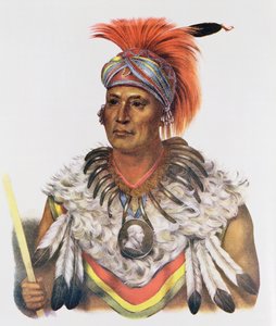 ワペラまたはキツネの王子長官、1837年、「北アメリカのインディアン部族、第2巻」のイラスト。ジョン・グラント