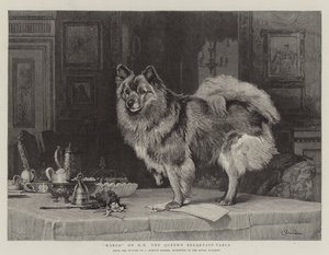 マルコ、女王の朝食テーブルで 作： Charles Burton
