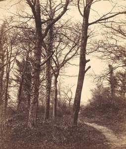 1855年の冬。 作： Charles Conway