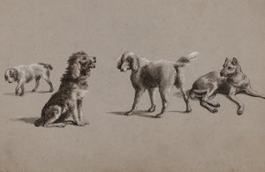 犬の研究（紙、ペン、ブラシ、インク、ガッシュ）