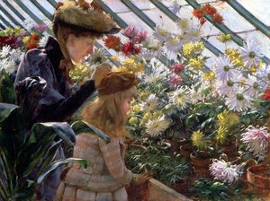 菊