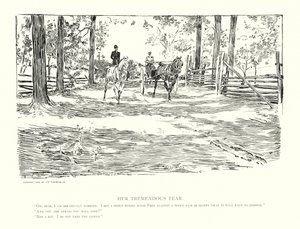 彼女のとてつもない恐怖（リトグラフ） 作： Charles Dana Gibson