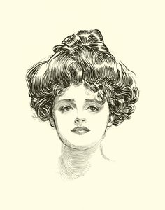 社会のはしごのイラスト 作： Charles Dana Gibson