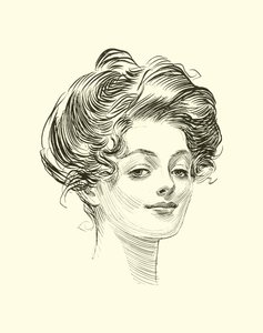 社会のはしごのイラスト 作： Charles Dana Gibson
